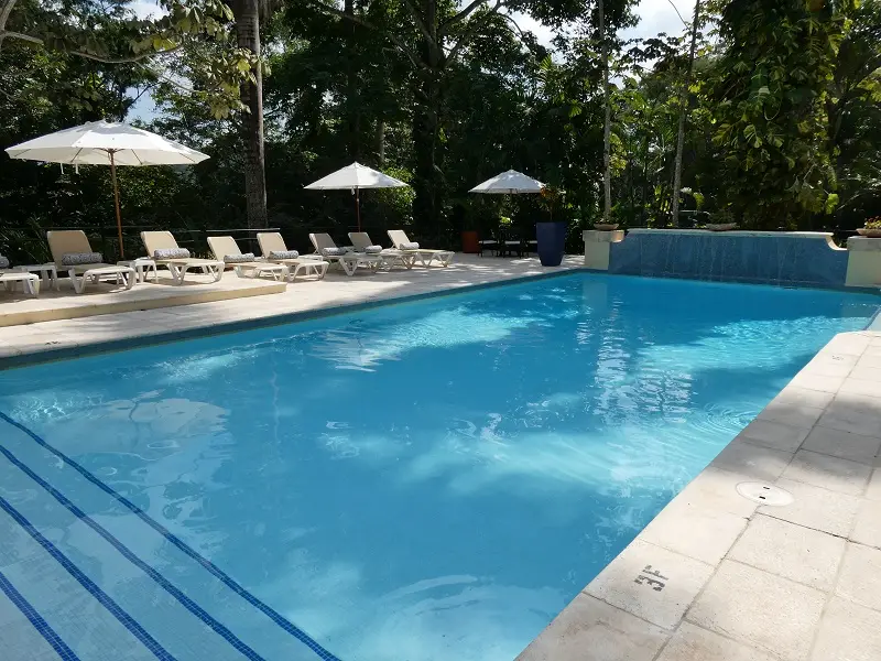P1001416.JPG