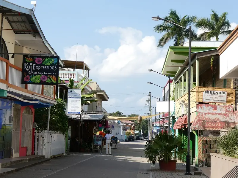P1001424.JPG