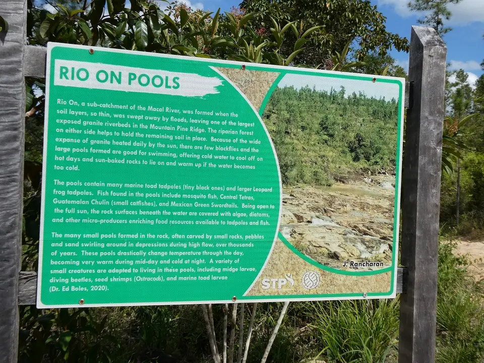 P1011479.JPG