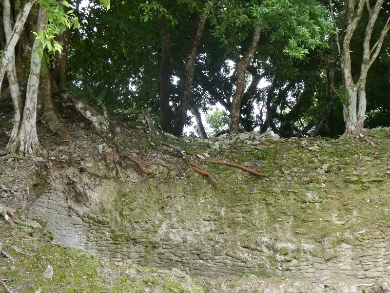 P1011510.JPG