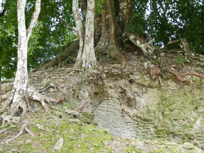 P1011511.JPG