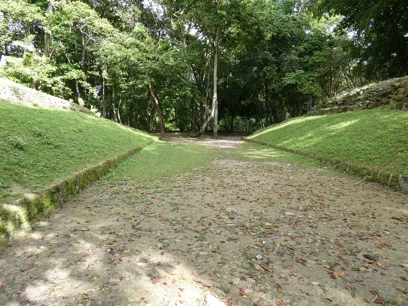 P1011516.JPG