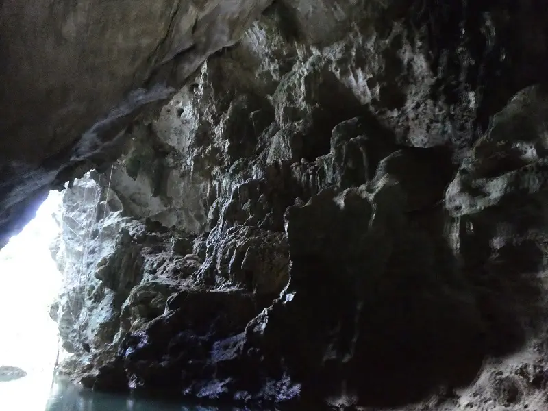 P1011654.JPG