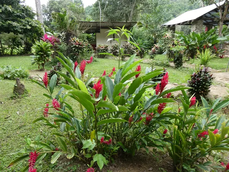 P1011662.JPG