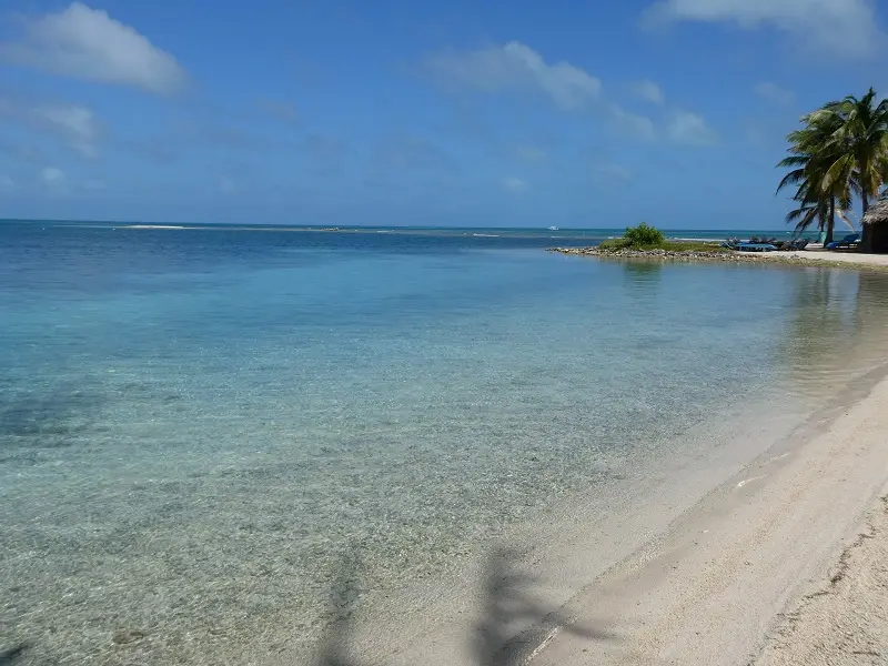 P1011763.JPG