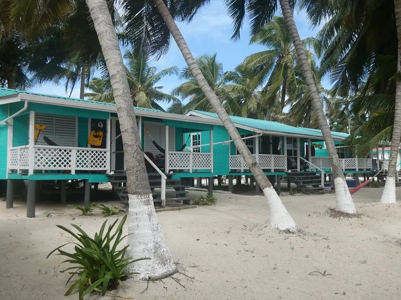 P1011812.JPG