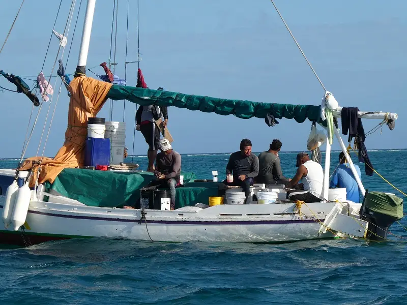 P1011881.JPG