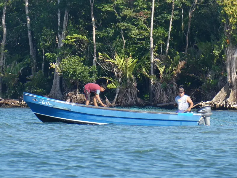 P1012113.JPG