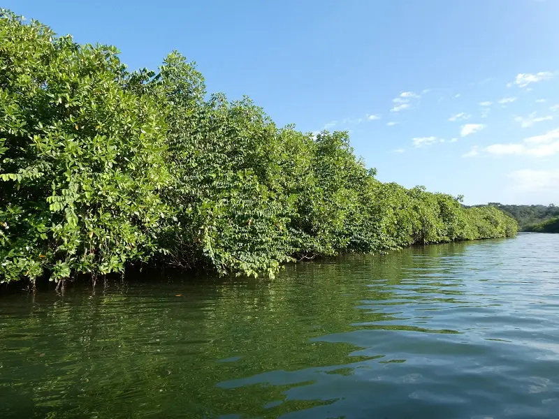 P1012115.JPG