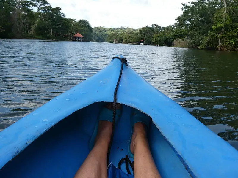 P1012201.JPG