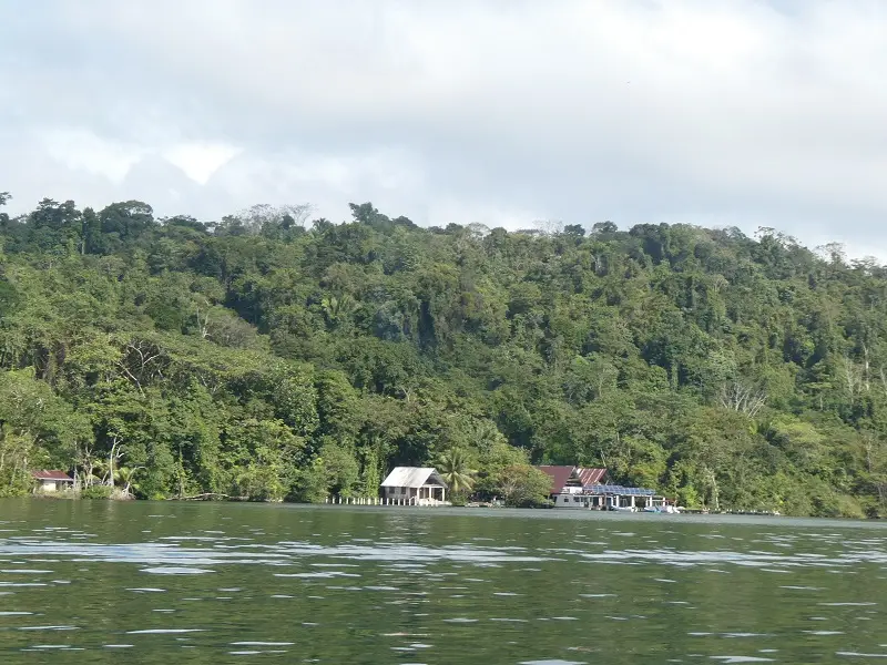 P1012227.JPG