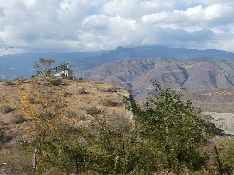 P1012277.JPG