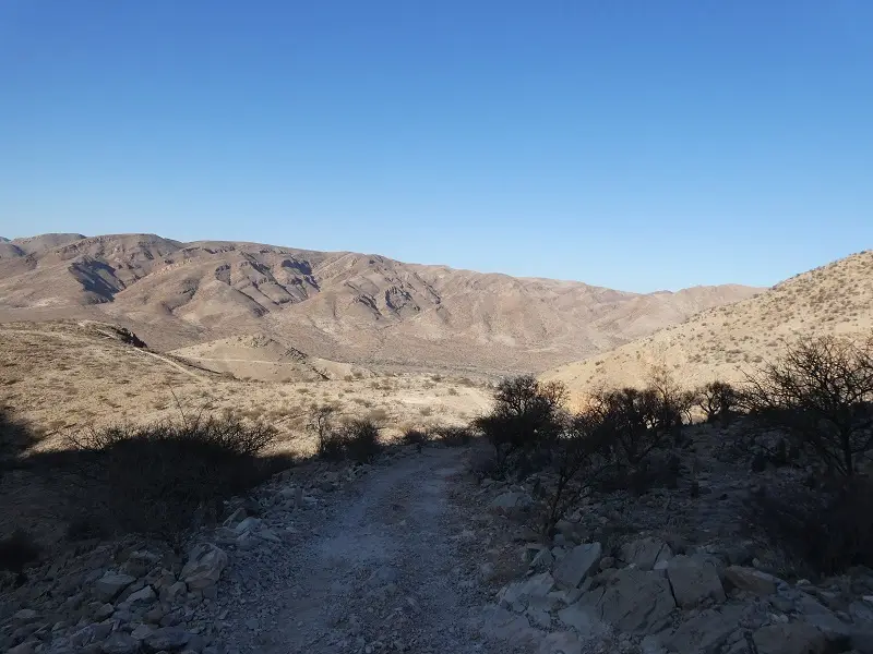 P1012615.JPG