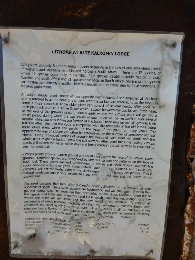 P1012666.JPG