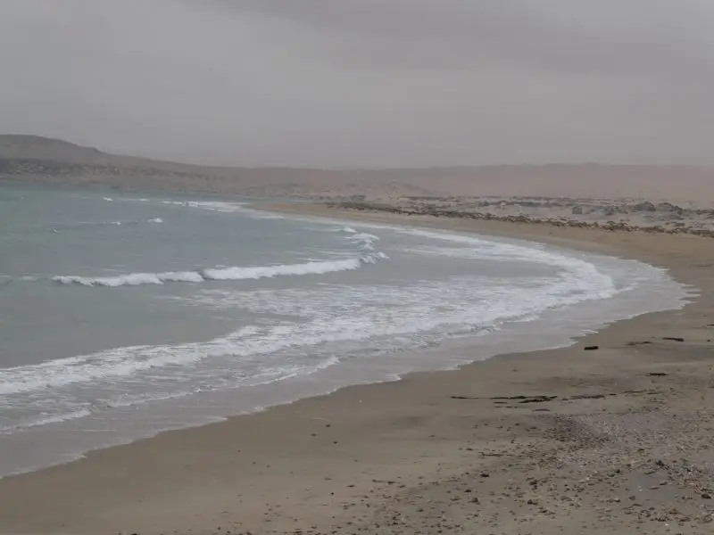 P1012764.JPG