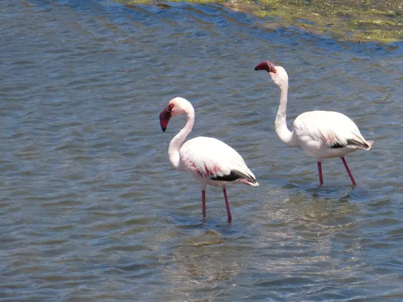 P1013214.JPG