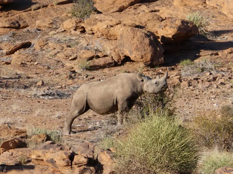 P1013345.JPG