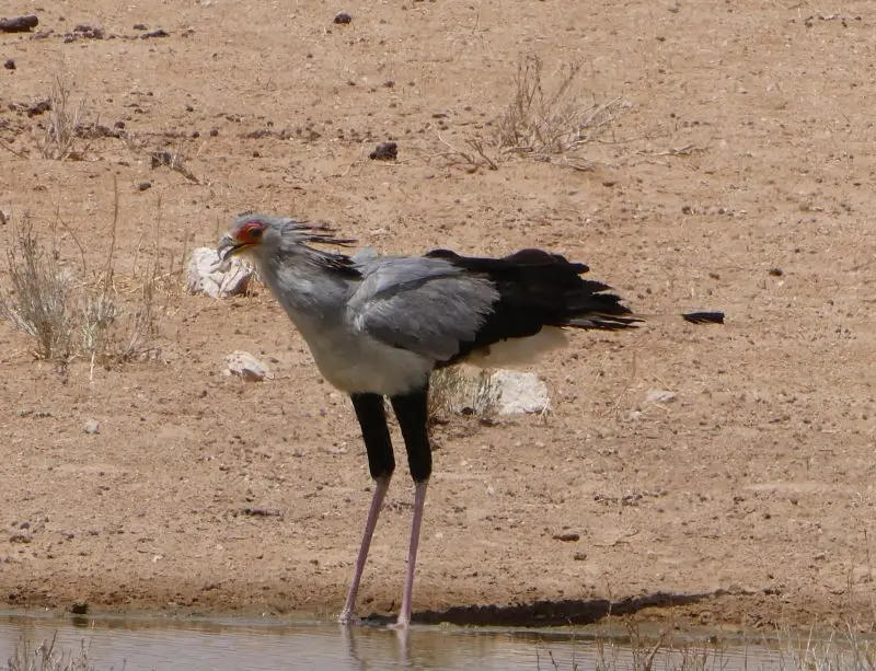 P1013615.JPG