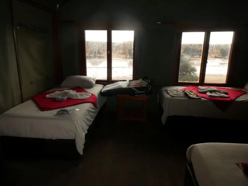 P1013654.JPG