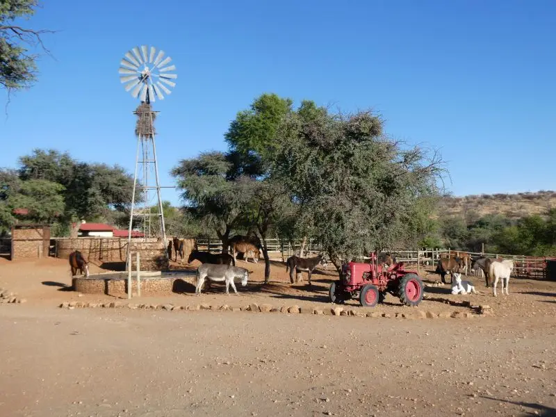P1013864.JPG