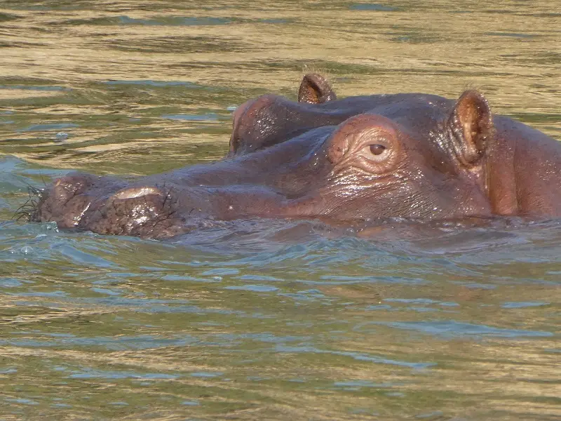 P1080582.JPG