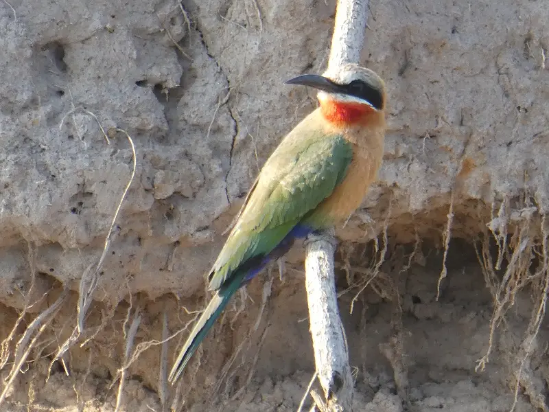 P1080629.JPG