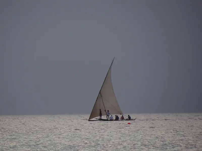 h0869372.JPG