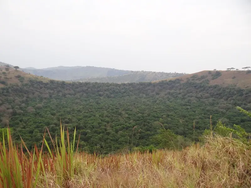 h1555905.JPG