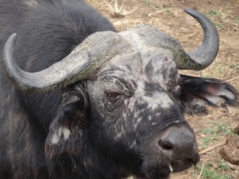 h423ce25.JPG