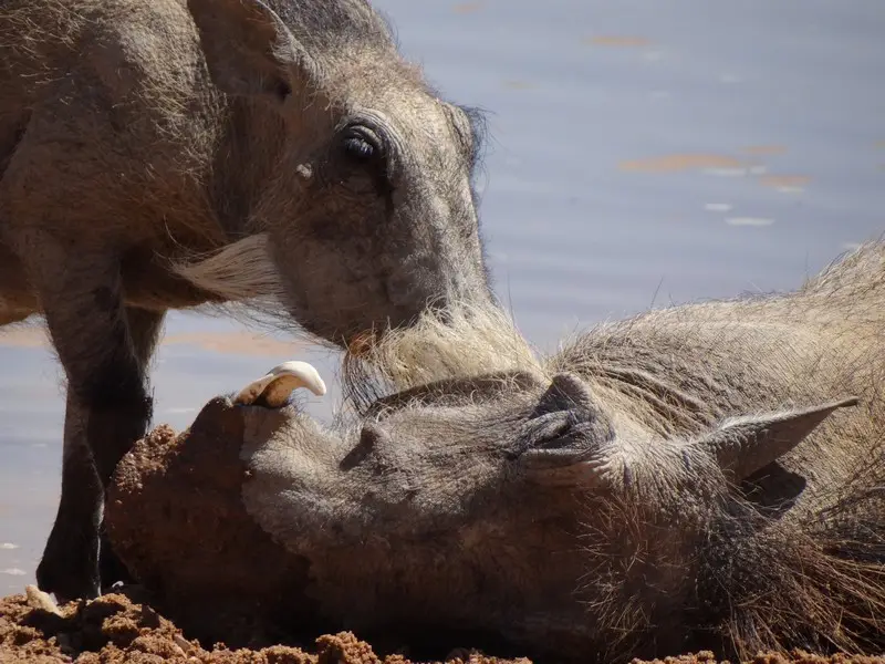 h58040b6.JPG