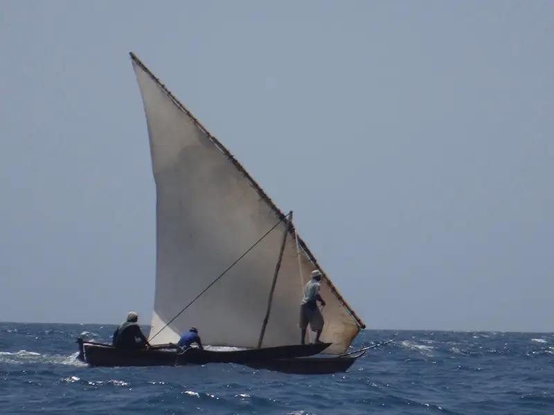 h6d80735.JPG