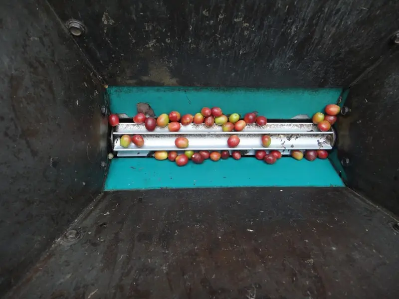h75131bf.JPG