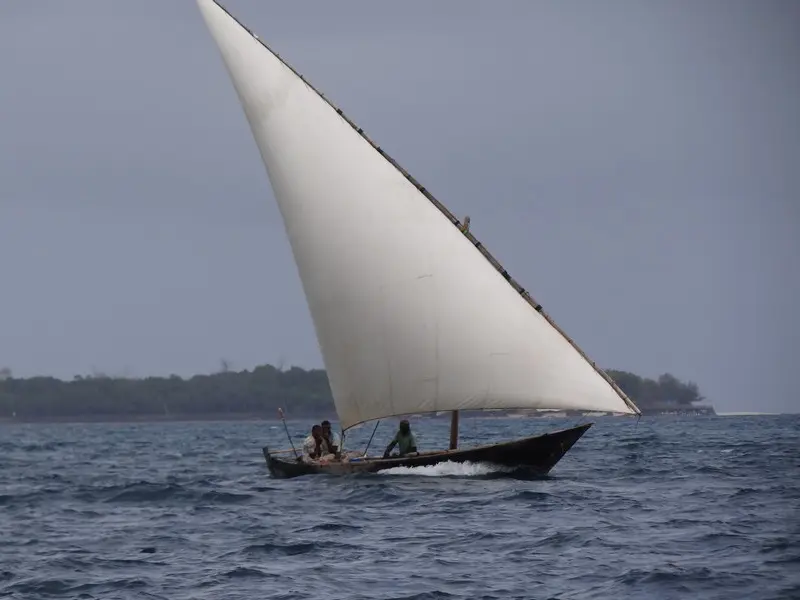 hab21c59.JPG