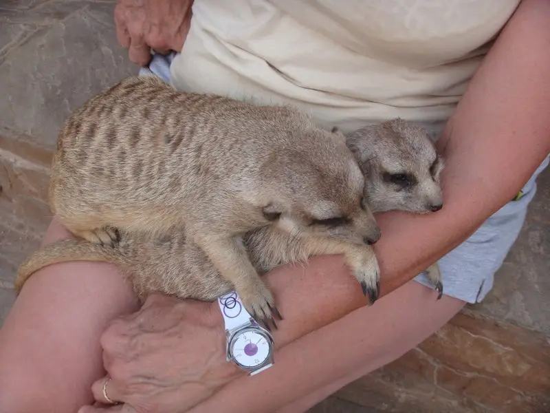 namibia2010282.jpg