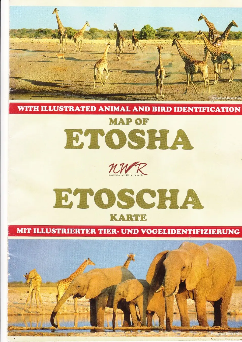 Etoscha-Broschüreklein-2.jpg