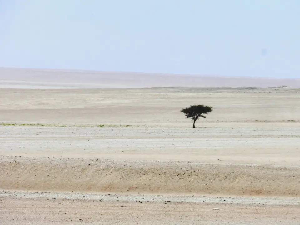 Kuiseb20.10.2013110.jpg