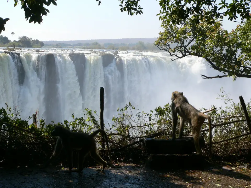 VicFalls033.jpg