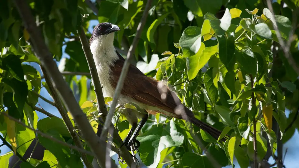 DSC_7146.jpg