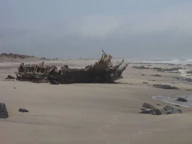 BenguelaEagleWrack.jpg