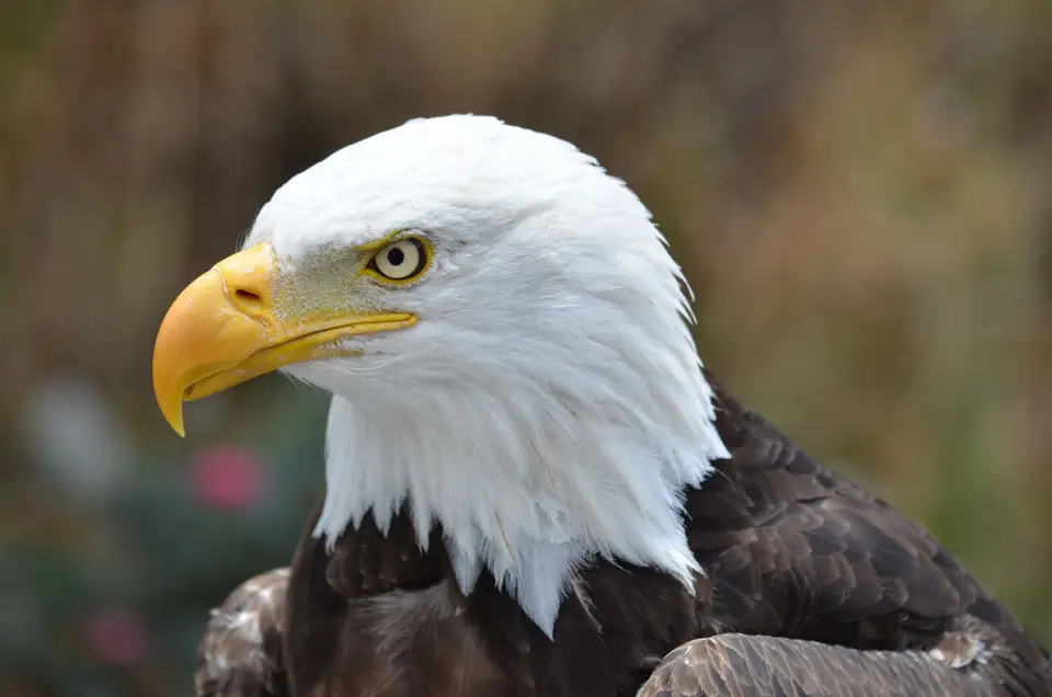 FD3ED6C0-ED1F-4FD2-AE56-E831ED8F59D4.jpeg