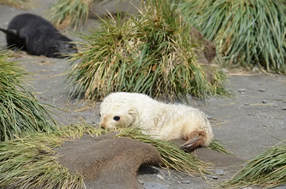 FEB67322-661B-4444-B893-4556160BFEF6_1_201_a.jpeg