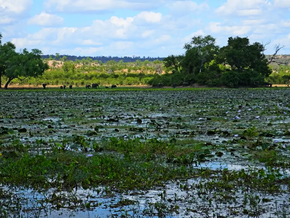 028MachaniwaPan.jpg