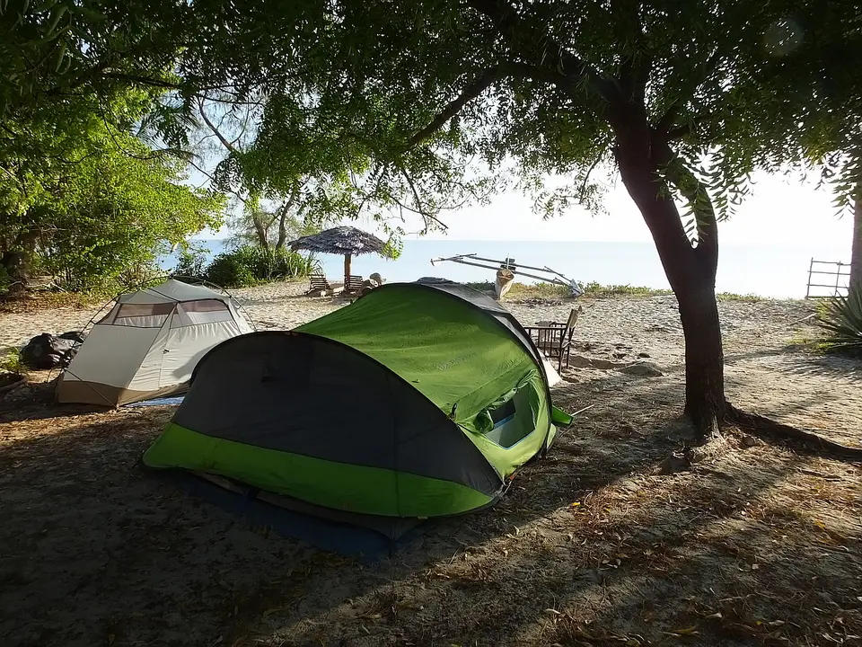 036CampsiteBeachCrab2.jpg