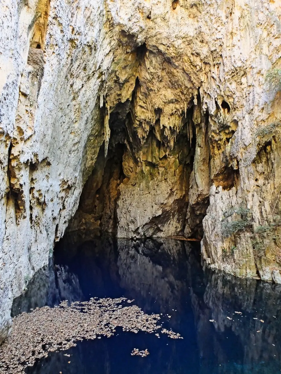 071ChinhoyiCaveTeich.jpg
