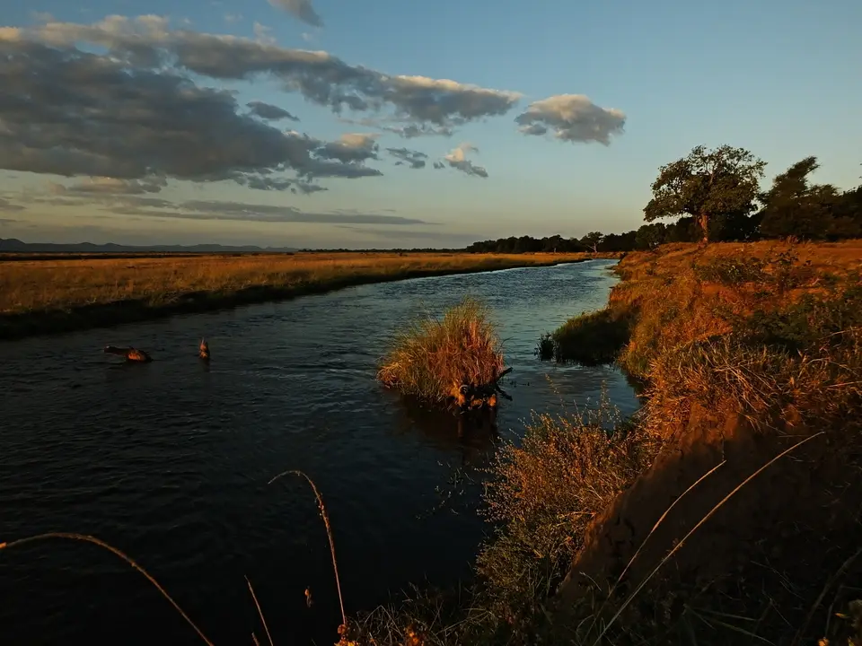 087SundownerZambesi1.jpg