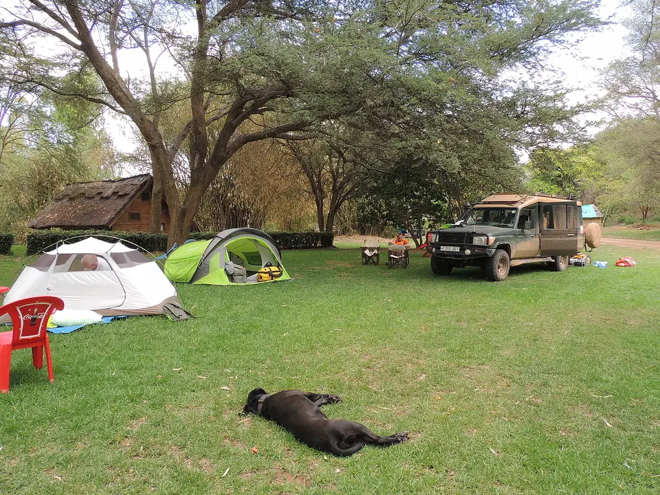 104littleruahacamp.jpg