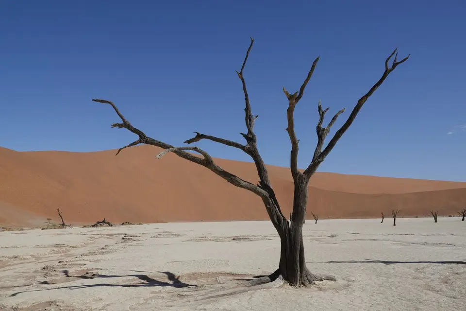 107BaumimDeadvlei1.jpg