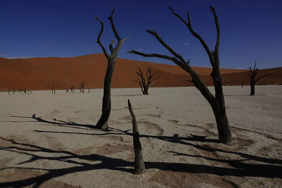 109BaumimDeadvlei3.jpg