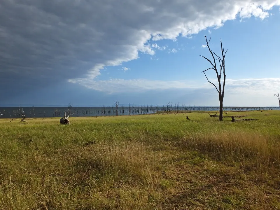 120ElephantPoint.jpg