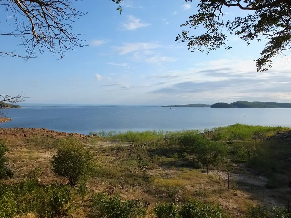131KaribaseebeiBinga.jpg